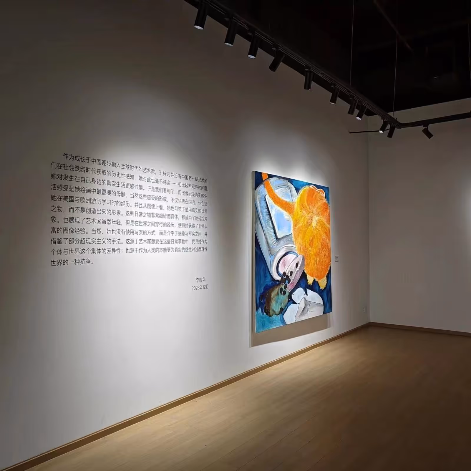 Definite images, Uncertain identity: Wang Zifan site, January 1, 2024